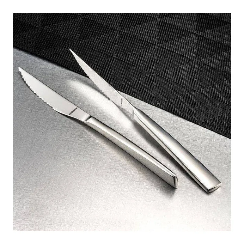 Couteaux À Steak | Couteaux-Amefa AURORA Standing Coffret 4 couteaux Steak Gris Magnet SC
