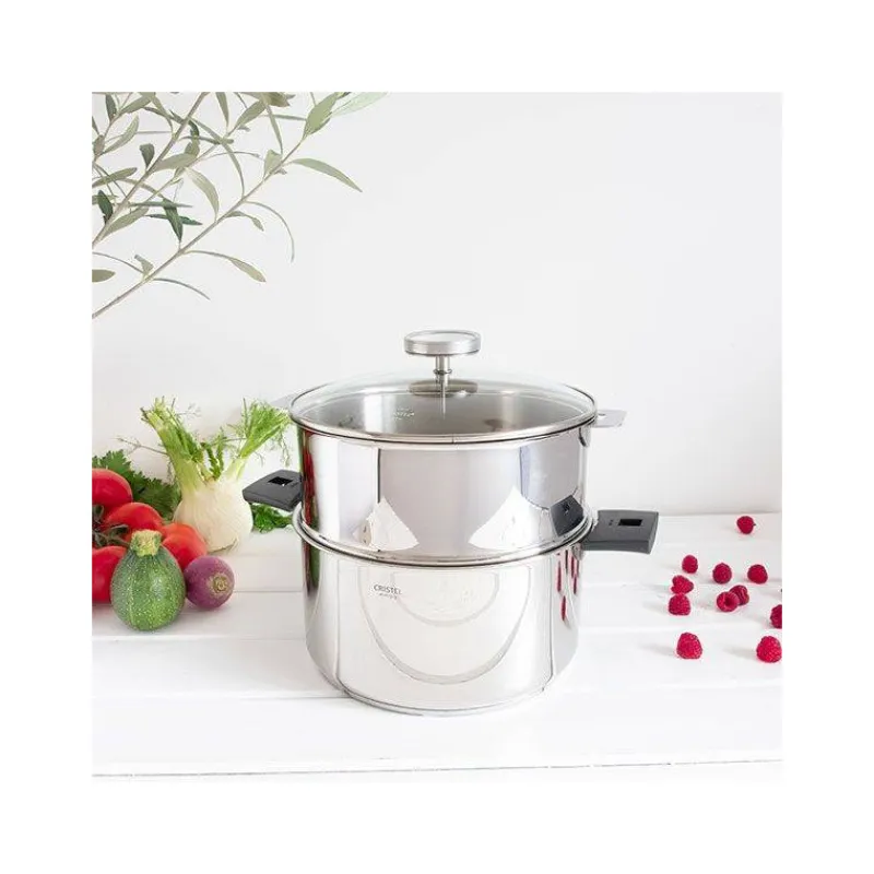 Cuits Vapeur Inox | Cuiseurs Vapeur Simples 1 Niveau-CRISTEL BIOME Cuisson Saine Ensemble Cuit vapeur amovible avec Thermostat D24