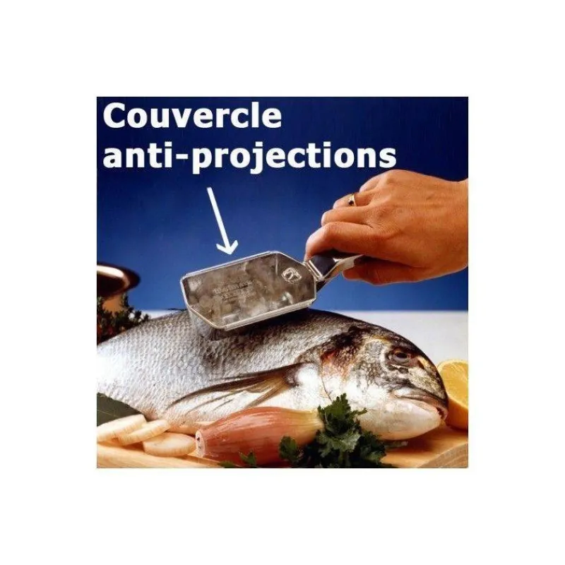 Préparer Le Poisson Et Les Fruits De Mer-WESTMARK Ecailleur à POISSONS avec récupérateur Scalex