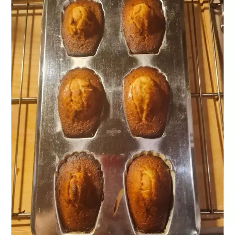 Moules À Madeleines-GOBEL Moule à 6 Madeleines en Fer Blanc Taille Gourmande