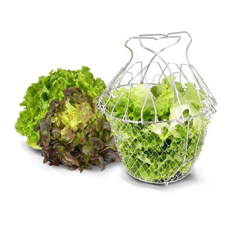 Essoreuse À Salade-La Bonne GRAINE Panier à salade pliant D22.5