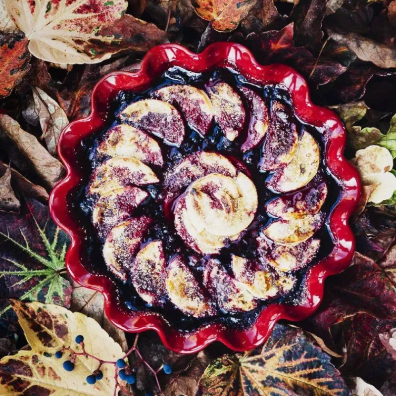Moules À Tarte | Quiches Et Tourtes-Emile HENRY Plat à tarte Clafoutis COROLLE D27 cm Grand Cru