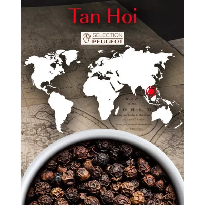 Epices-PEUGEOT Poivre noir Tan Hoi du Vietnam Sachets fraicheur 140g