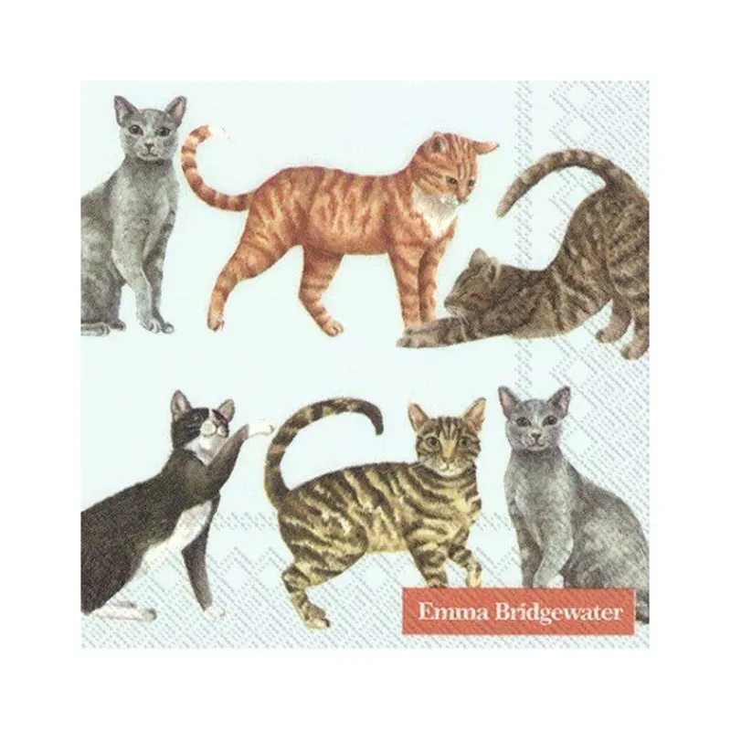 Les Serviettes De Table Papier-IHR Serviette de table Cocktail  25x25 Jetable Paquet de 20 - Emma Bridgewater, Chats