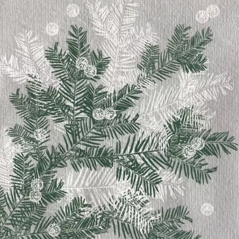 Les Serviettes De Table Papier-Franu00e7oise PAVIOT Serviette de table 40x40  Jetable Intissé Françoise PAVIOT Paquet de 20 - Branche Givrée