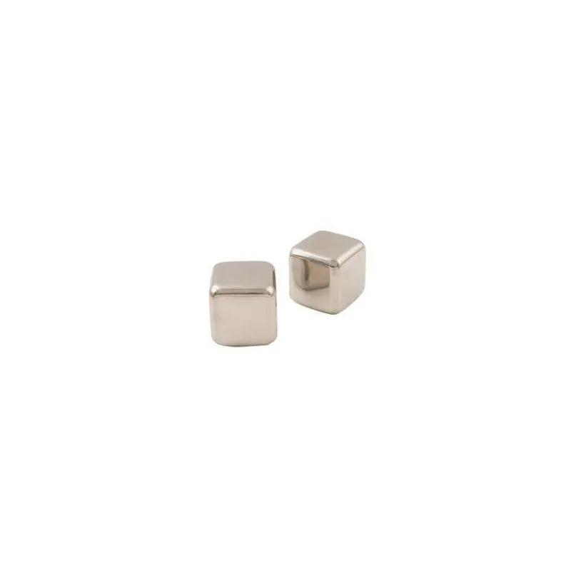 Glaçons Permanents-Point Virgule Set de 2 Glaçons réutilisables en Inox avec pochette